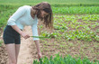 © Анастасія Стягайло - Teen girl touches hands with green plants in the garden. Care of the Environment. Ecology concept