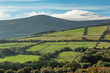 A Pattern of Green Fields in County Wicklow, Ireland