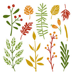 Wall Mural - Autumn tree branches and colourful leaves. Beautiful vector botanical collection on white background