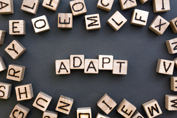 Fototapete - the word adapt wooden cubes with burnt letters, adaptation in the new team, gray background top view, scattered cubes around random letters