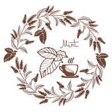 Hand Drawn Mint
 Flowers Vector Illustration