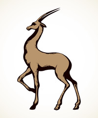 Poster - Antelope. Vector drawing