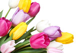 Fototapeta Tulipany - Bouquet of tulip flowers on white background