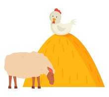 Eating Goat And Chicken Sitting On Hill From Hay, Farm Animal Character, Side View Of Goat And Fowl Decoration On White, Animal Grazing, Countryside Vector