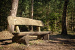 © Tadas - Bench in the forrest