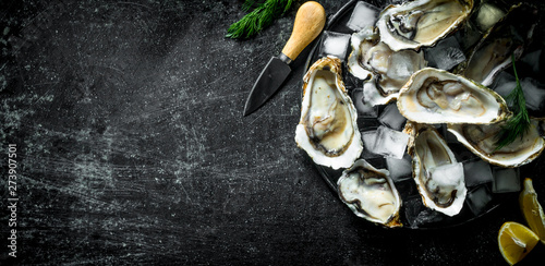 Fotografía Appetizing raw oysters with ice cubes and a knife.