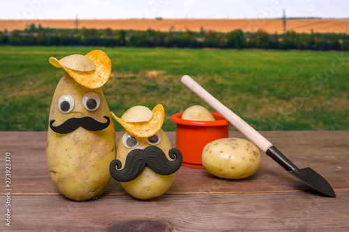 Cuadros en Lienzo funny potato head with face on nature background