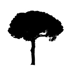 Wall Mural - Tree on white background