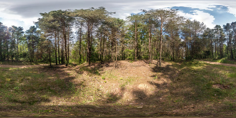 Wall Mural - full spherical hdri panorama 360 degrees angle view on gravel pedestrian footpath and bicycle lane path in pinery forest in sunny spring evening in equirectangular projection. VR AR content