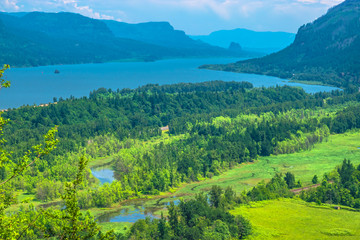 Wall Mural - Overlooking the Columbia River Gorge in Portland, Oregon