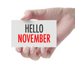 © dolphfyn - Hand showing Hello November.