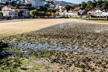 Canvas Print - low tide