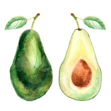 Watercolor Tropical Illustration With Avocado On A White Background