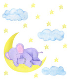 Fototapeta Dziecięca - Childlike illustration watercolor elephant asleep stars moon postcard design scrapbooking stickers stickers congratulations invitations	