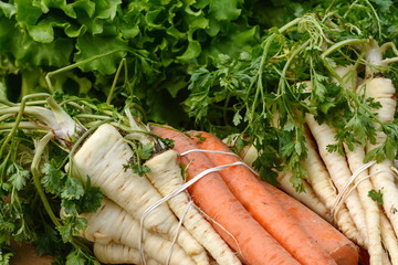 Fresh, parsnips and carrots at the weekly market. A bunch of carrot and parsnip. Full frame of vegetable.