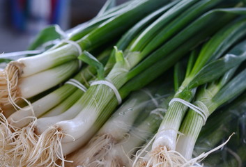 Young onions on the market. Green onion leaves on the market.