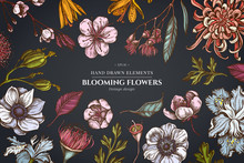 Floral Design On Dark Background With Japanese Chrysanthemum, Blackberry Lily, Eucalyptus Flower, Anemone, Iris Japonica, Sakura