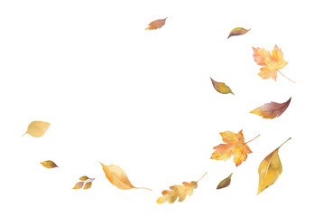 watercolor vector card with autumn leaves and branches isolated on white background.