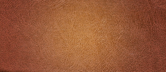 Wall Mural - close up of brown leather background or texture