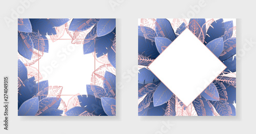 Collection Of White Square Backgrounds With Bright Dark Blue And