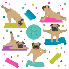 Wall Mural - Yoga dogs poses and exercises. Pug clipart