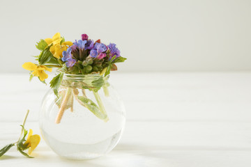 Wall Mural - spring flowers, summer mood, flowers on a light background - lungwort and violets in a vase