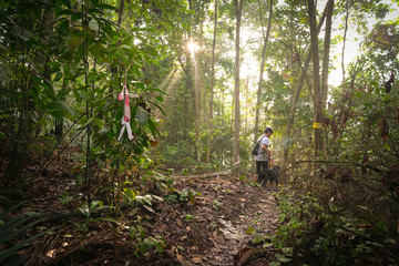 man hiking with his dog in a tropical jungle