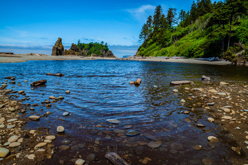 Wall Mural - Beautiful Morning Hike on Ruby Beach in Olympic National Park, Washington