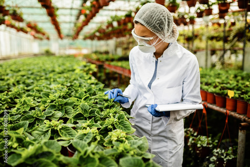Fotografía Greenhouse botanist examining growth of potted plants.