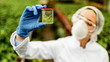 Close-up of biologist holding plant sample while working in a plant nursery.