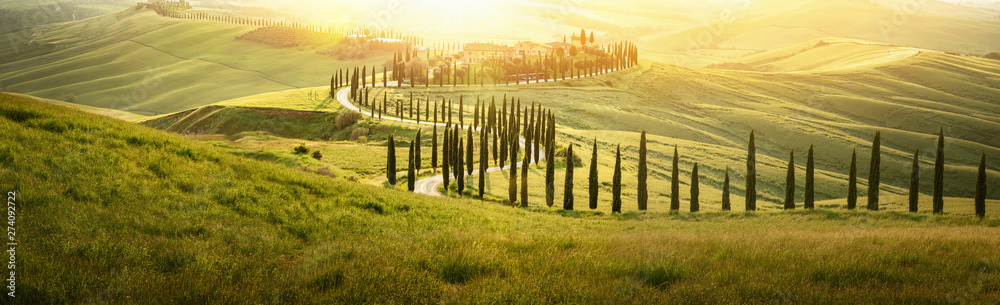 Italian Landscape with a Winding Road with Cypress Trees at Sunset - obrazy, fototapety, plakaty 