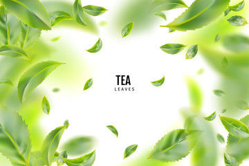 Flying Fresh Green Tea Leaves Vector Background