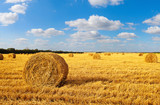Fototapeta  - Hay bales sitting in a field