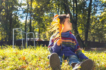 Wall Mural - boy in the fall.