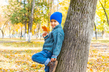 Wall Mural - boy in autumn Park near a tree