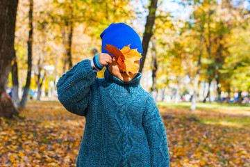 Wall Mural - boy is hiding behind maple leaves