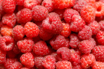 Heap of sweet red raspberries close up for bckground