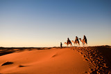 Fototapeta Zachód słońca - Camels in the Desert
