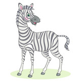 Fototapeta  - Big cute zebra stands. In cartoon style. Isolated on white background. Vector illustration.