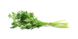 Fototapeta  - Bunch of fresh parsley isolated on white