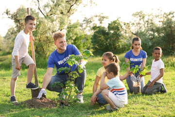 Wall Mural - Kids planting trees with volunteers in park