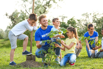 Wall Mural - Kids planting trees with volunteers in park