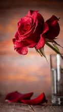 Red Rose In Vase On Old Wooden Background, Vintage Style