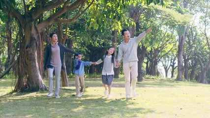 Wall Mural - asian family with two children walking hand in hand having fun in park