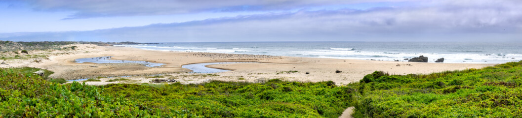 Wall Mural - Panoramic view of Gazos Creek Año Nuevo State Park beach on the Pacific Ocean coastline, California