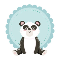  Isolated panda cartoon design vector illustration