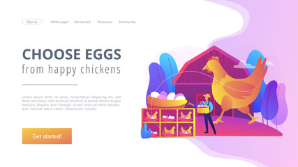 Poster - Poultry business, farming industry modern technology. Free run chicken and eggs, cage-free eggs, choose eggs from happy chickens concept. Bright vibrant violet vector isolated illustration