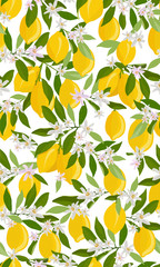 Lemon fruits seamless pattern with flowers and leaves on white background. citrus fruits vector illustration.