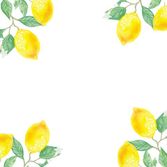 Drawn yellow lemons with leaves as a frame, background