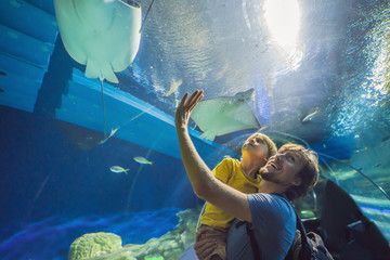 Wall Mural - Father and son looking at fish in a tunnel aquarium